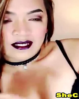 Sweet looking shemale Striptease